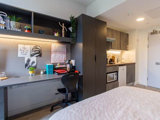 Bronze Studio room type